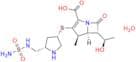 Doripenem Monohydrate