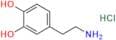 Dopamine Hydrochloride