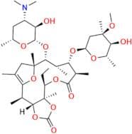 Cycloester Erythromycin Enol Ether