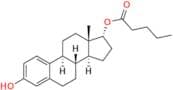 17-epi Estradiol Valerate
