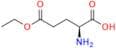 L- Glutamic Acid γ-Ethyl Ester