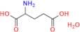 DL-Glutamic Acid Monohydrate