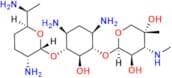 Gentamicin C2a