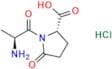 Alanyl Glutamine Impurity 8