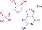 Guanosine Monophosphate
