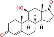 17-Keto Hydroxyprogesterone