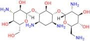 kanamycin B