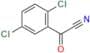 2,5 Dichlorobenzoyl Nitrile