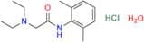 Lidocaine Hydrochloride Monohydrate