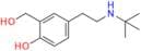 Levalbuterol USP Related Compound A