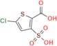 5-Chloro-3-sulfothiophene-2- carboxylic Acid