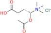 Acetyl-L-Carnitine Hydrochloride