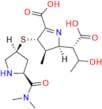 Open Ring Metabolite Meropenem