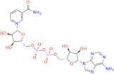 B-Nicotinamide adenine dinucleotide, sodium salt