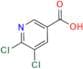 5,6-Dichloronicotinic Acid