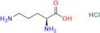 L-Ornithine HCl