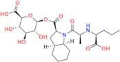 Perindoprilat Acyl-β-D-Glucuronide