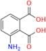 3-Aminophthalic acid