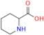 Pipecolic Acid