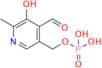Pyridoxal 5′-phosphate