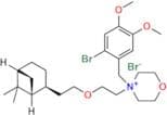 Trans-Pinaverium Bromide