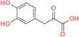3,4-Dihydroxyphenylpyruvic Acid