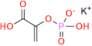 Phospho(enol)pyruvic acid monopotassium salt