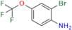 2-Bromo-4-(trifluoromethoxy)aniline