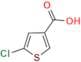 5-Chlorothiophene-3-carboxylic acid