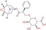 Scopolamine Glucuronide