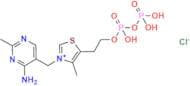 Thiamine Pyrophosphate