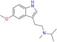 5-Methoxy-N-methyl-N-isopropyl Tryptamine N-Oxide