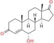 6α-Hydroxy Androstenedione
