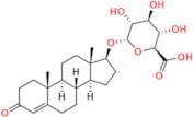 Testosterone Glucuronide