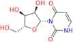 Isouridine