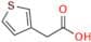 3-Thiopheneacetic Acid
