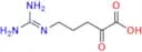 5-Guanidino-2-oxopentanoic Acid
