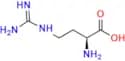 L-Norarginine