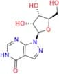 Allopurinol Riboside