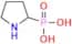 2-Pyrrolidinylphosphonic Acid