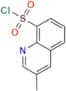 3-Methyl-8-quinolinesulfonyl Chloride