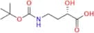 (S)-4-((tert-Butoxycarbonyl)amino)-2-hydroxybutanoic Acid