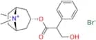 Atropine Methyl Bromide