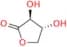 D-Threonic acid-1,4,-lactone