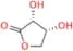 D-Erythronolactone