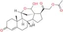 Aldosterone 21-Acetate
