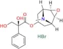 Anisodine Hydrobromide