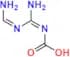 ((Z)-Amino(((Z)-aminomethylene)amino)methylene)carbamic Acid