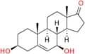 7β-Hydroxy Dehydro Epiandrosterone