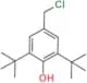 2,6-Di-tert-butyl-4-(chloromethyl)phenol